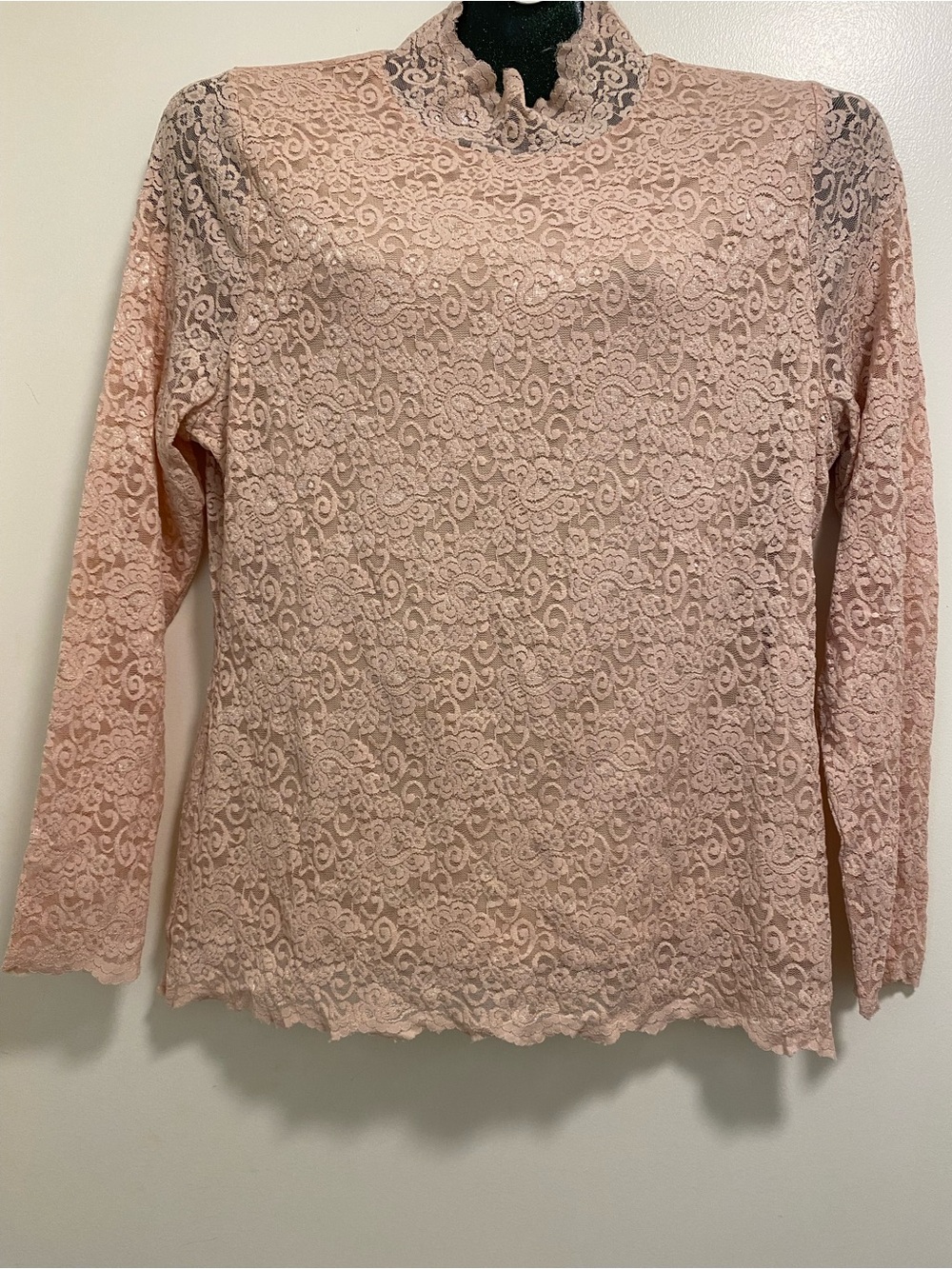 Vince Camuto Blush Lace Mock Neck Long-Sleeve Top